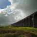 Ribblehead Viaduct